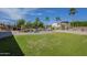 Beautiful backyard featuring a pool, mature palm trees and ample green space at 10033 W Jj Ranch Rd, Peoria, AZ 85383