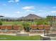 Lush outdoor patio view of the golf course and mountain range, a perfect blend of nature and tranquility at 13186 W Via Dona Rd, Peoria, AZ 85383