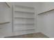 Bright walk-in closet featuring built-in shelving, carpeted floor, and organized storage solutions at 2219 E Galileo Dr, Gilbert, AZ 85298