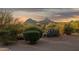 Beautiful desert landscape featuring diverse plants, shrubs, and mountain views, enhancing curb appeal at 24200 N Alma School Rd # 7, Scottsdale, AZ 85255
