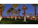 Elegant community entrance highlighted by meticulously landscaped palm trees and decorative lighting at 30165 W Flower St, Buckeye, AZ 85396