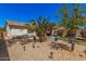 Landscaped backyard with palm trees, crushed rock, and manicured artificial turf and patio area at 30259 N Sunray Dr, San Tan Valley, AZ 85143