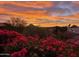 Beautiful sunset view over distant mountains and blooming red flowers in foreground at 6512 N 31St Way, Phoenix, AZ 85016