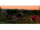 Scenic view showcasing city skyline and mountain range, framed by lush greenery and vibrant flowers at 6512 N 31St Way, Phoenix, AZ 85016