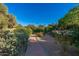 Picturesque pathway lined with lush greenery and colorful flowers creating a serene and inviting atmosphere within the community at 7223 N 14Th St, Phoenix, AZ 85020