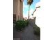Exterior shot of side yard shows desert landscaping with lush green bushes and gravel ground cover at 9285 E Sutton Dr, Scottsdale, AZ 85260