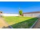 Lush backyard with a mature tree, green grass, and a charming, private outdoor space at 1001 W 19Th St, Tempe, AZ 85281