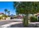 Street view showcasing the surrounding neighborhood, lush landscaping, and mountain backdrop at 13593 N 91St Way, Scottsdale, AZ 85260