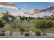 This backyard features a partial view of a greenbelt, an iron fence, and mature landscaping at 1398 W Windhaven Ave, Gilbert, AZ 85233