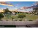 This backyard features a partial view of a greenbelt, an iron fence, and mature landscaping at 1398 W Windhaven Ave, Gilbert, AZ 85233
