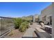 Backyard patio offers serene mountain views and mature landscaping at 14007 E Lupine Ave, Scottsdale, AZ 85259