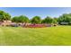 A landscaped common area with manicured lawns, trees, and colorful flowers creates an inviting scene at 15456 W Corrine Dr, Surprise, AZ 85379