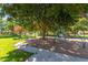 A colorful playground with slides and climbing structures sits atop a bed of sand and surrounded by mature shade trees at 15456 W Corrine Dr, Surprise, AZ 85379