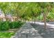 Charming street view featuring mature trees providing shade and curb appeal to the neighborhood at 15456 W Corrine Dr, Surprise, AZ 85379