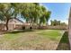 Expansive backyard with green lawn, mature trees, and secure block wall at 16386 W Sierra St, Surprise, AZ 85388