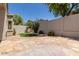 The backyard is surrounded by a privacy fence, desert plants, and decorative rock at 16813 S 30Th Ave, Phoenix, AZ 85045