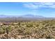 Desert landscape with cacti and brush, with mountain views in the background at 17214 E Alta Loma --, Fountain Hills, AZ 85268