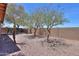 A private backyard with decorative trees and a brick fence, perfect for outdoor enjoyment at 1880 E Birch St, Casa Grande, AZ 85122
