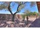 View of the backyard with a brick fence, lush trees, and manicured ground cover at 1880 E Birch St, Casa Grande, AZ 85122