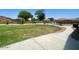 Well maintained backyard including mature trees, lawn, and a pool at 1898 N Hubbard Ln, Casa Grande, AZ 85122