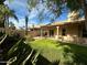Green backyard with palm trees at 2301 E Beachcomber Dr, Gilbert, AZ 85234
