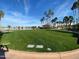 Expansive green lawn surrounded by tall palm trees under a clear blue sky at 2301 E Beachcomber Dr, Gilbert, AZ 85234