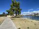 Scenic water view featuring a walking path, bench, lush green trees, and beautiful blue sky at 2301 E Beachcomber Dr, Gilbert, AZ 85234