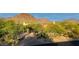 Lush front yard with desert landscaping, mature trees, and mountain views at 26285 N 89Th St, Scottsdale, AZ 85255