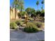 Beautiful courtyard with manicured landscaping, mature trees, and decorative fountain at 3825 E Camelback Rd # 152, Phoenix, AZ 85018
