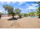 Expansive backyard features a refreshing pool, mature trees, and gravel landscaping at 4032 E Cannon Dr, Phoenix, AZ 85028