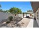 A mature shade tree provides shade for a patio set in the backyard at 4079 E Yucca St, Phoenix, AZ 85028