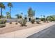 Beautiful home with low-maintenance desert landscaping with various cacti and drought-resistant plants at 4079 E Yucca St, Phoenix, AZ 85028