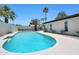 A backyard pool is surrounded by palm trees and desert landscaping, with clear blue water on a sunny day at 4079 E Yucca St, Phoenix, AZ 85028