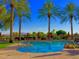Relaxing community pool area with palm trees, lounge chairs, and lush landscaping at 4239 E Azalea Dr, Gilbert, AZ 85298