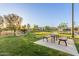 Well-maintained community park with picnic tables, grassy areas, and lush landscaping at 754 E Harper St # 102, Gilbert, AZ 85297