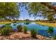 Beautiful pond surrounded by trees and greenery, offering a tranquil setting with a blue sky above at 754 E Harper St # 102, Gilbert, AZ 85297
