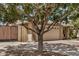 Exterior of tan brick home featuring a large tree shading the front yard at 2256 S Las Flores --, Mesa, AZ 85202