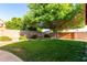Spacious backyard with lush grass, a mature shade tree, and a well-maintained privacy fence at 2615 N 123Rd Dr, Avondale, AZ 85392