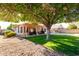 Expansive backyard featuring a lush lawn, mature tree, and covered patio with outdoor seating at 2615 N 123Rd Dr, Avondale, AZ 85392