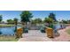 Scenic view of the pond with a wooden viewing deck, benches, and surrounding greenery on a sunny day at 3307 E Kings Ave, Phoenix, AZ 85032