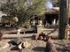 Charming front yard with desert landscaping, gravel, various cacti, pottery and statues at 401 W Cape Royal Ln, Phoenix, AZ 85023