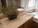 Bathroom featuring a decorative accent piece and a soaking tub in the background at 4513 E Grovers Ave, Phoenix, AZ 85032