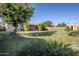 Expansive backyard offering a serene outdoor space with lush greenery and mature shade trees at 5437 E Pinchot Ave, Phoenix, AZ 85018