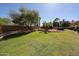Expansive green backyard featuring lush landscaping, mature trees, and a glimpse of the inviting pool area at 5521 W Northwood Dr, Glendale, AZ 85310