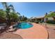 Stunning backyard oasis showcasing a sparkling pool, mature palm trees, and a spacious deck area at 5521 W Northwood Dr, Glendale, AZ 85310