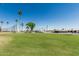Green of community putting green, mature palm trees and clubhouse at 7326 E Juanita Ave, Mesa, AZ 85209