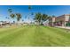 Manicured putting green, mature trees and blue skies at 7326 E Juanita Ave, Mesa, AZ 85209