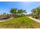 Beautifully maintained common green space in the community, featuring mature trees and walking paths at 7617 E Desert Honeysuckle Dr, Gold Canyon, AZ 85118