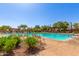 Community pool area featuring comfortable lounge chairs, lush landscaping, and shade at 7617 E Desert Honeysuckle Dr, Gold Canyon, AZ 85118