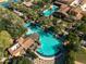 Aerial view of a community pool featuring palm trees and lounge chairs surrounded by greenery at 841 E Farmers Ln, Queen Creek, AZ 85140